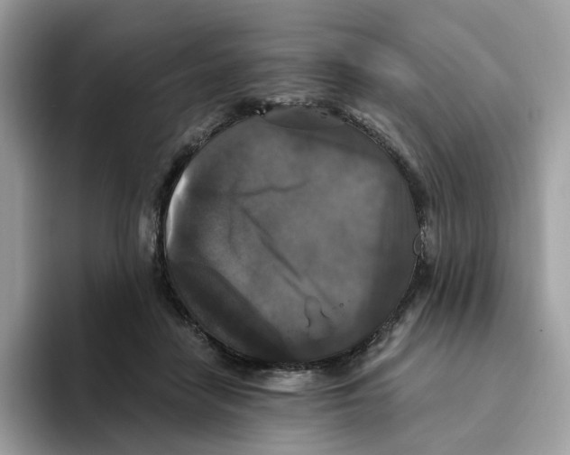 X0000093450458200711091515