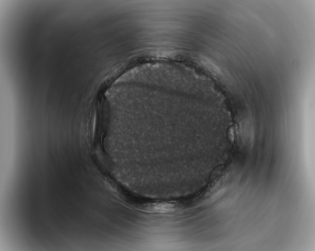 X0000093450462200711091516