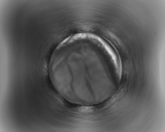 X0000093450465200711091516