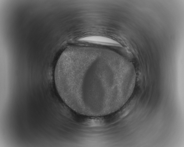 X0000093450466200711091516