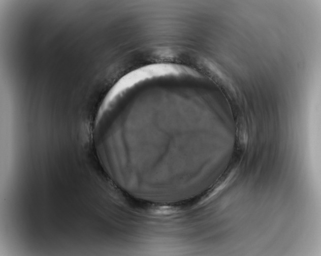 X0000093450467200711091516