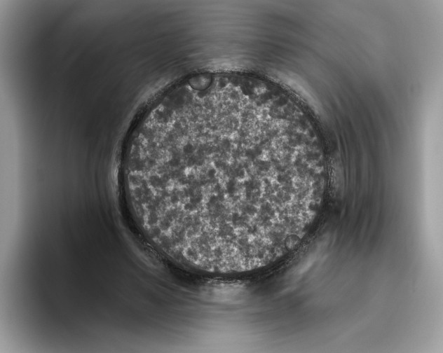 X0000093450491200711091515