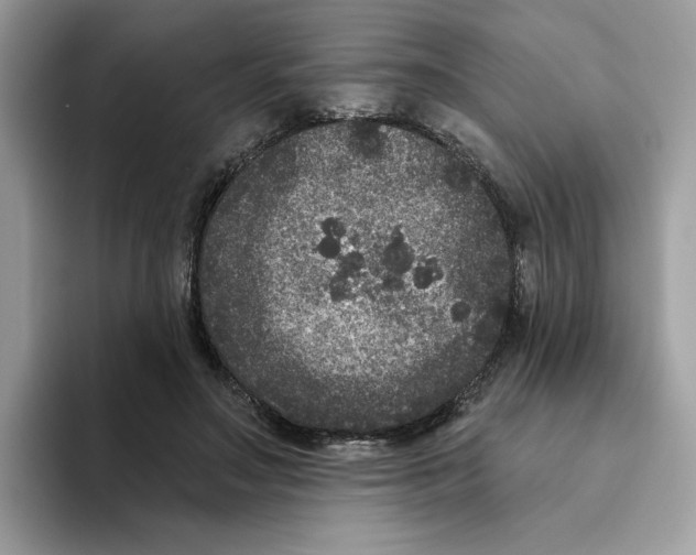 X0000093450499200711091515