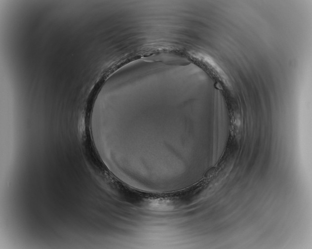 X0000093450500200711091515