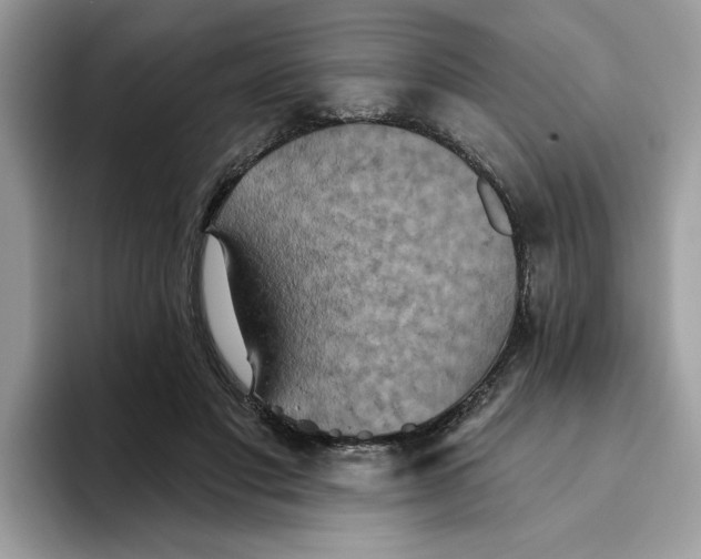 X0000093450501200711091515