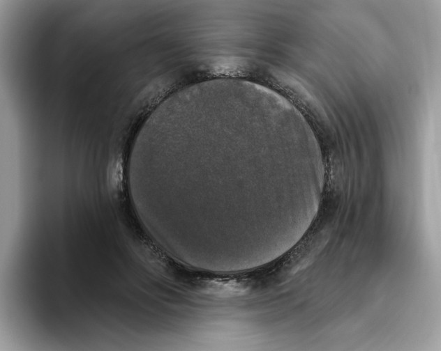 X0000093450502200711091515