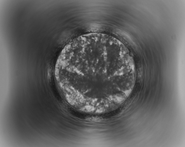 X0000093450503200711091515