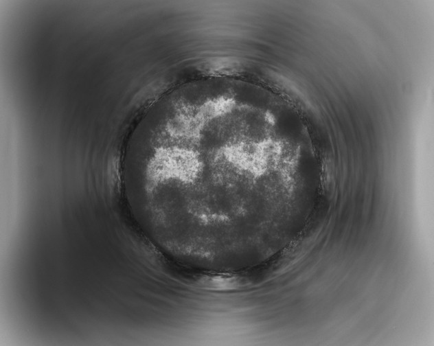 X0000093450506200711091515