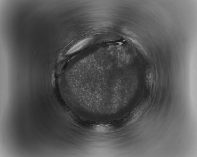 X0000093450508200711091515