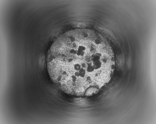 X0000093450511200711091515