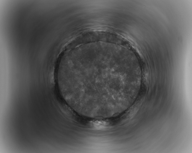 X0000093450512200711091515