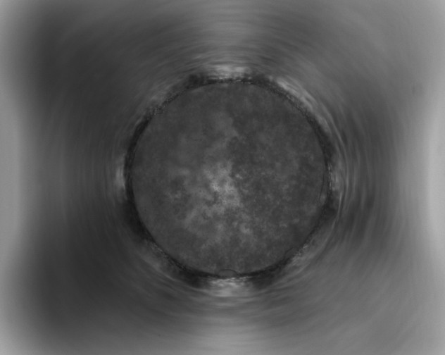 X0000093450516200711091515