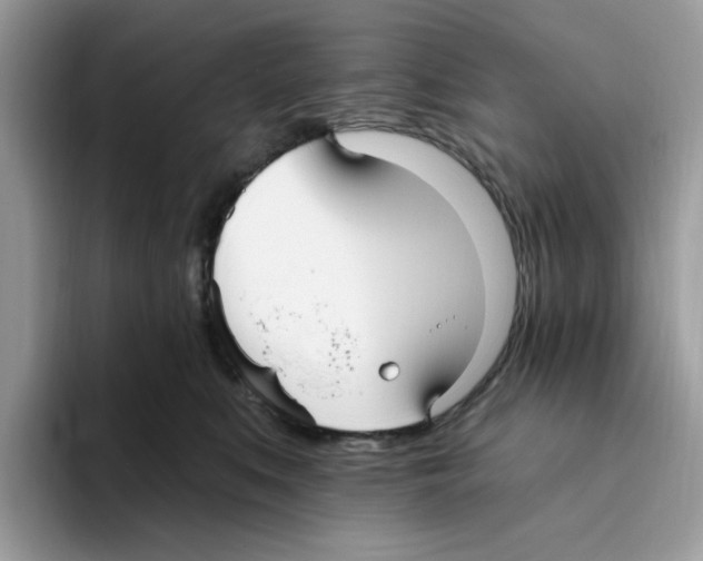 X0000093450519200711091515