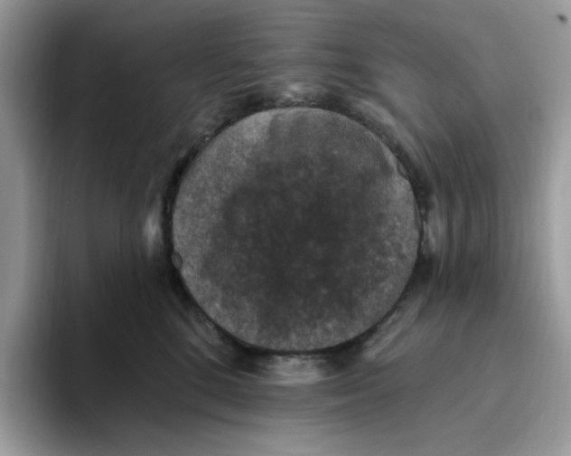 X0000093450520200711091515