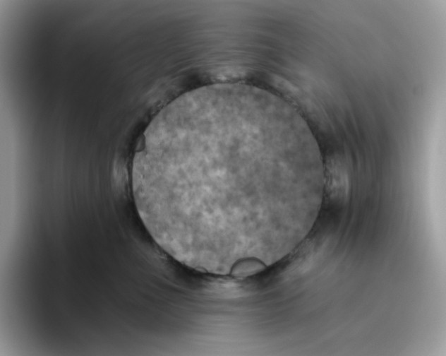 X0000093450523200711091515