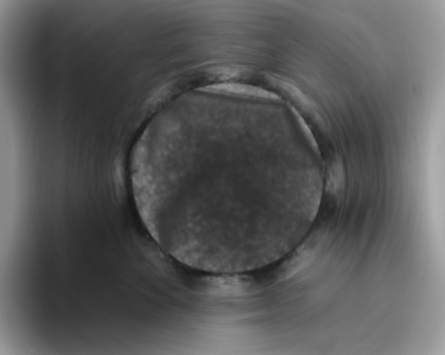 X0000093450524200711091515