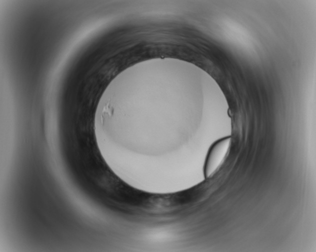 X0000093450526200711091515