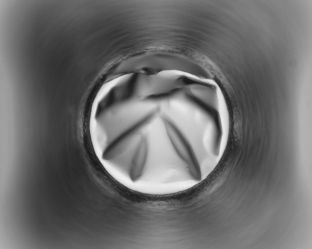 X0000093450530200711091514