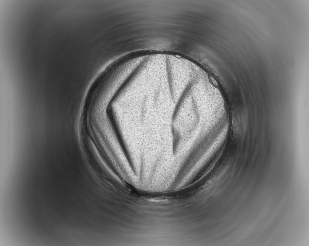 X0000093450532200711091514