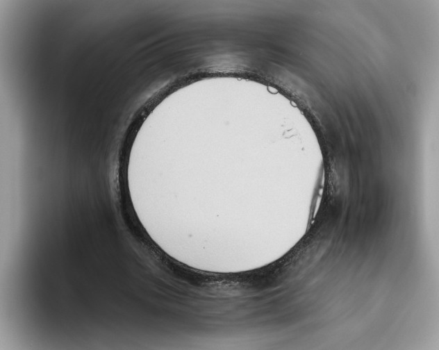 X0000093450535200711091514