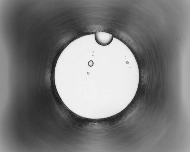 X0000093450538200711091514