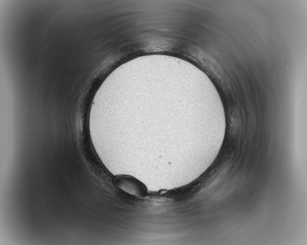 X0000093450539200711091514