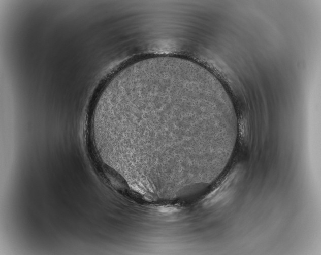 X0000093450540200711091514