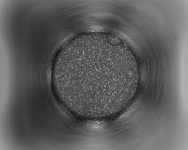 X0000093450542200711091514