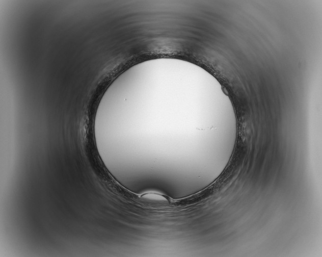 X0000093450544200711091514