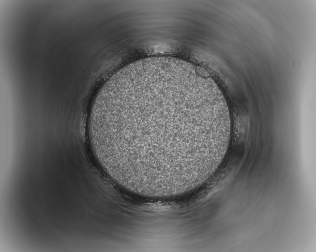 X0000093450545200711091514