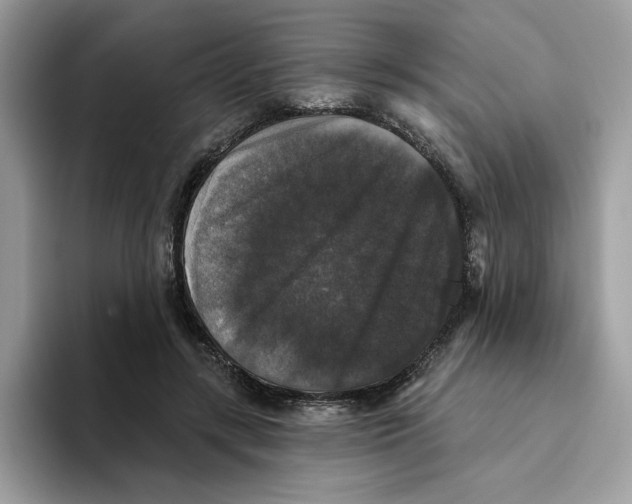 X0000093450547200711091514