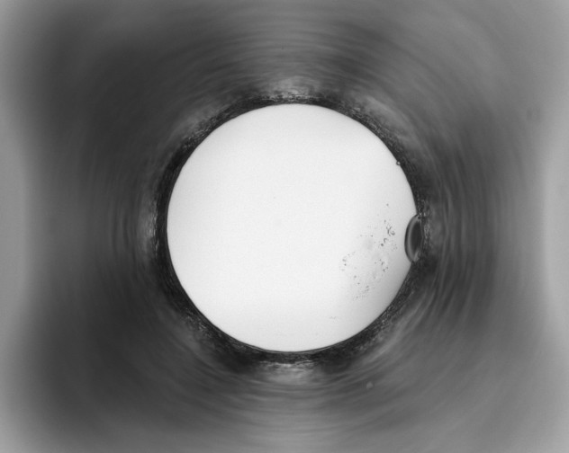 X0000093450548200711091514