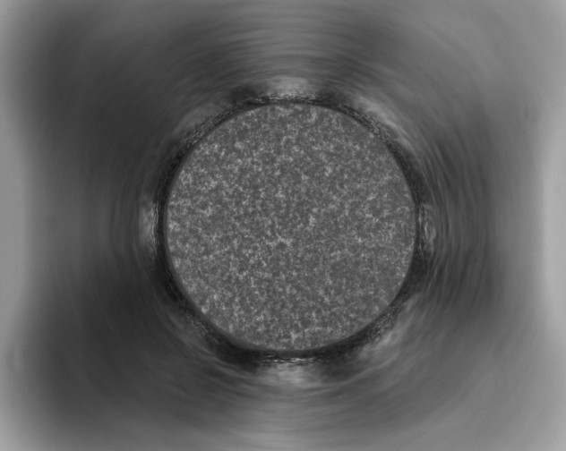 X0000093450550200711091514