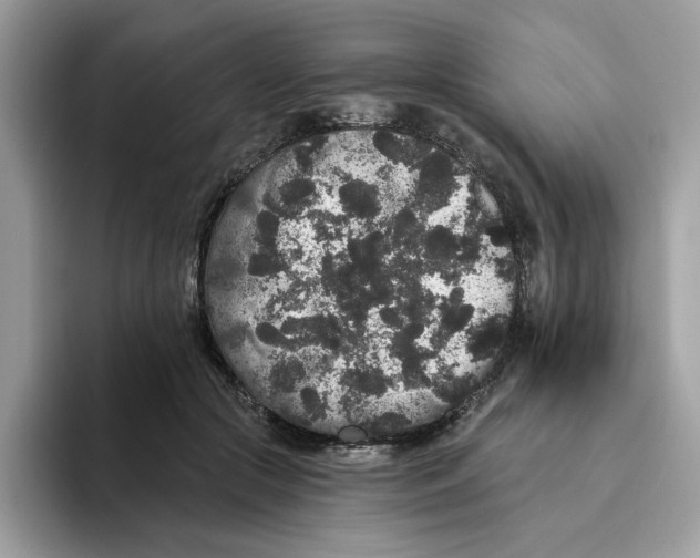 X0000093450553200711091514