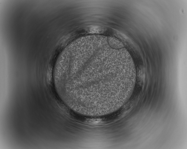 X0000093450554200711091514