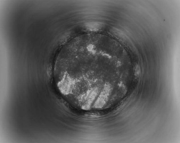 X0000093450559200711091514