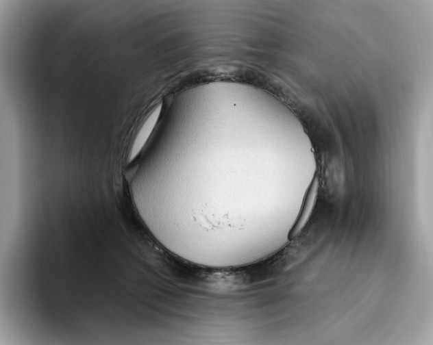 X0000093450562200711091514