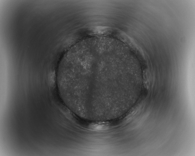 X0000093450563200711091514