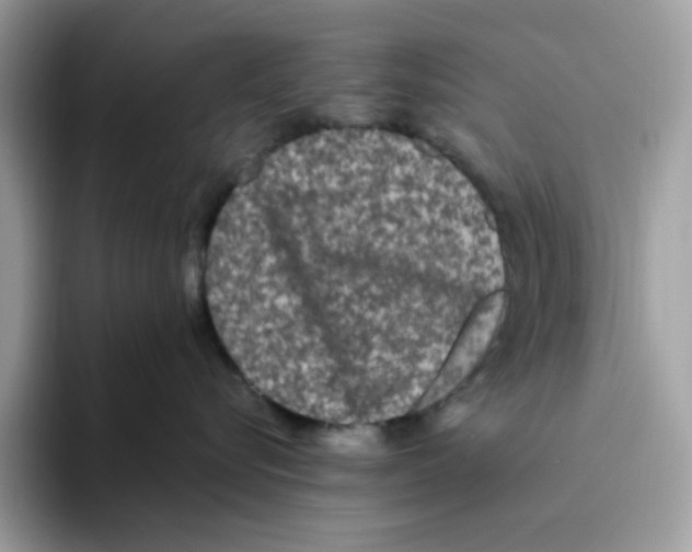 X0000093450576200711091515