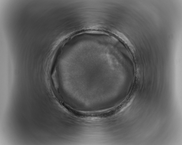 X0000093450577200711091514