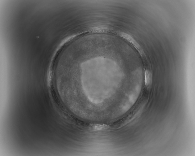 X0000093450579200711091514