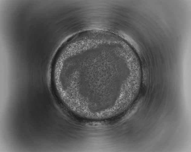 X0000093450580200711091514