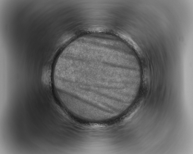 X0000093450585200711091514