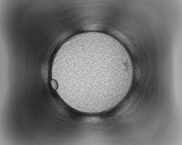 X0000093450586200711091514