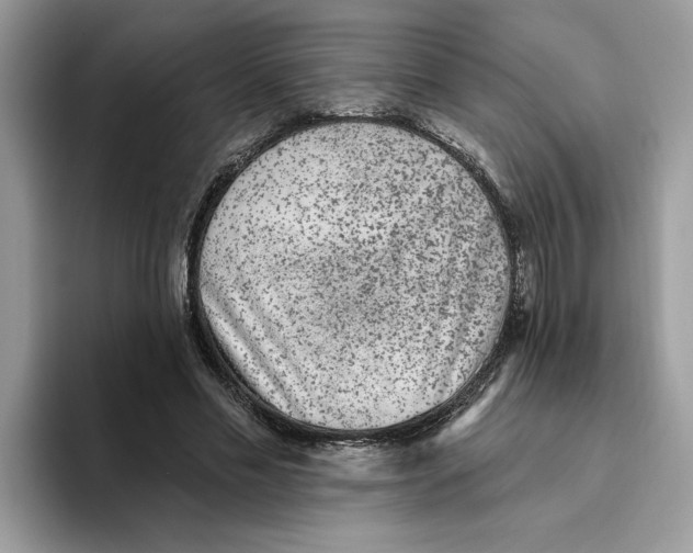 X0000093450589200711091514