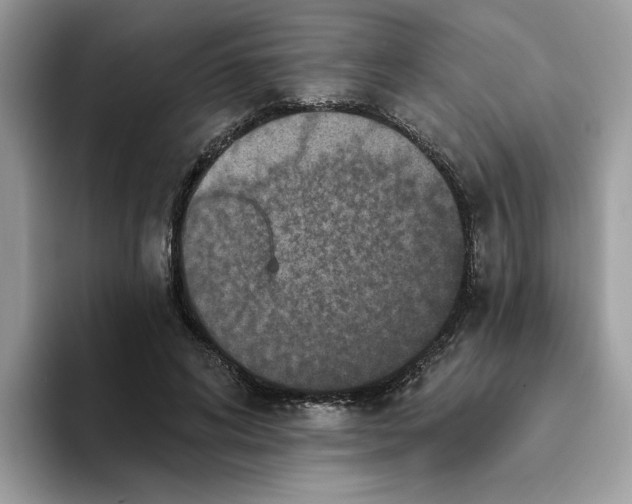 X0000093450592200711091514