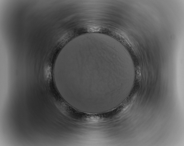 X0000093450598200711091514