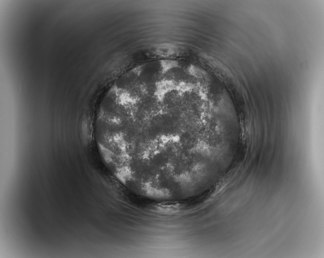 X0000093450606200711091514