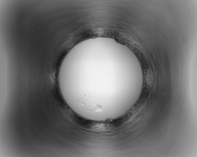 X0000093450611200711091514