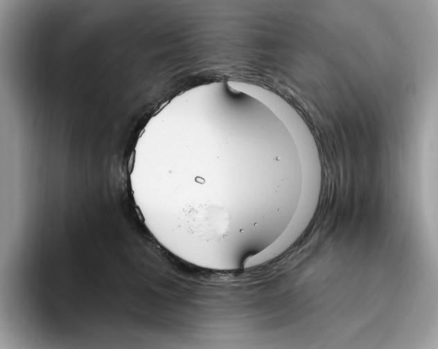 X0000093450613200711091514